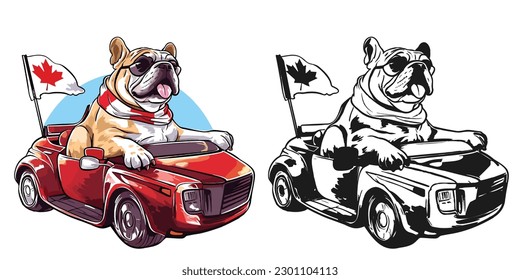 A bulldog riding a convertible with canada flag.Illustration of T-shirt design graphic.	
