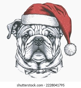 Bulldog Santa Hat Vector Illustration Tshirt Design Logo Icon Christmas Greeting Card