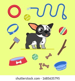 Bulldog and set of things for dogs