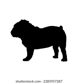 Bulldog Silhouette. Dog breeds. Vector