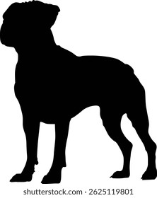 Bulldog Silhouette Standing on White Background 