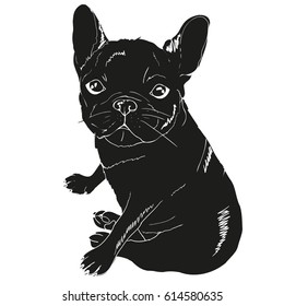 bulldog silhouette - vector, illustration