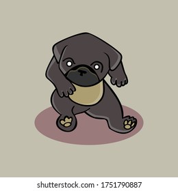 Bulldog sitting on a red floor