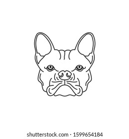 Bulldog Sketch Drawing / Coloring Black White illustration logo