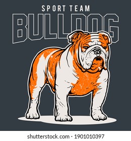 Bulldog Sport Team Mascot Logo