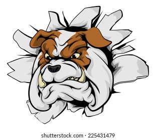 Bulldog sports mascot breakthrough concept of a bulldog sports mascot or character breaking out of the background or wall