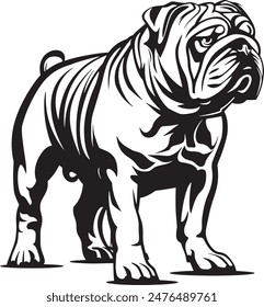Bulldog standing silhouette vector illustration line art
