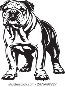 Bulldog standing silhouette vector illustration line art