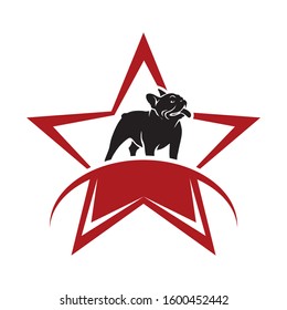 bulldog star vector logo design