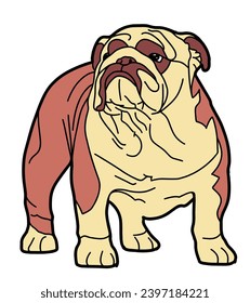 Bulldog vector with 2 color