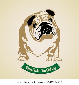 Bulldog. Vector.