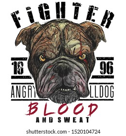 
bulldog vector dog fighter in the wounds on the face sketch print for clothes