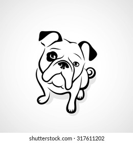 Bulldog - vector illustration