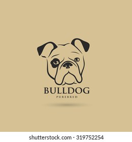Bulldog - vector illustration