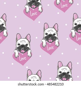 bulldog - vector illustration