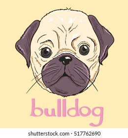 bulldog - vector, illustration
