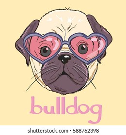 bulldog vector illustration