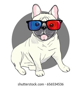 bulldog, vector, illustration