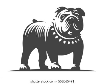 Bulldog vector illustration, design on white background