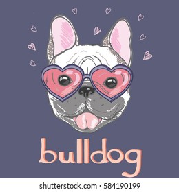 bulldog-  vector, Illustrator