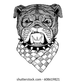 Bulldog vector Image for tattoo, logo, emblem, badge design