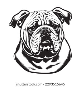 Bulldog vector isolated white background