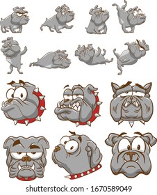 bulldog vector set collection graphic clipart design