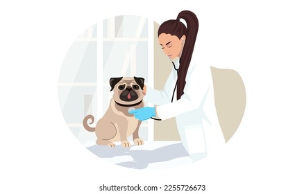 Bulldog at veterinary visit in medical clinic office. Pug dog puppy not anxiety and stress on therapy at vet appointment of veterinarian young woman. Vector illustration isolated on white background