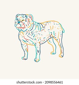 Bulldog. Vintage style sketch for your design