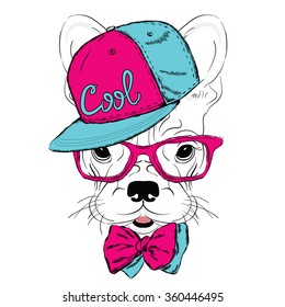 Bulldog wearing a cap and sunglasses . Vector illustration for a greeting card, poster, or print on clothes. Cute dog.
