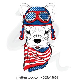 Bulldog wearing a helmet and cravat. Biker. Greeting card with a dog.