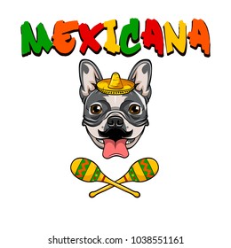 Bulldog wearing in sombrero with maracas. Vector illustration isolated on white background.