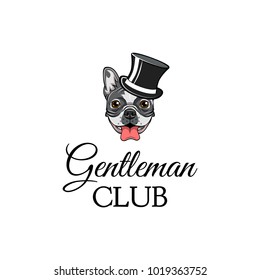 Bulldog wearing in top hat. Gentleman dog. Vector illustration isolated on white background.