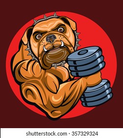 Bulldog for weight training, weightlifting, bodybuilding. Vector