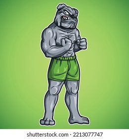 bulldog who became the mascot, and wears shorts that are ready for fitness.
