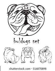 Bulldogs set, black and white graphic vector illustration