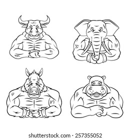 Bull,Elephant,Wildboar and Hyppo Mascot Collection