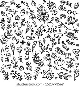 Bullet journal hand drawn vector elements for notebook, diary, and planner. Set of doodles flowers, branches, leaves, herbs, plants. 