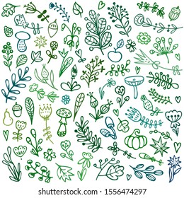 Bullet journal hand drawn vector elements for notebook, diary, and planner. Set of doodles flowers, branches, leaves, herbs, plants. 