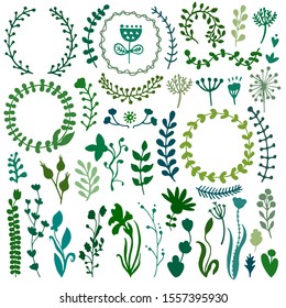 Bullet journal hand drawn vector elements for notebook, diary and planner. Set of doodles branches, herbs, flowers, plants. 