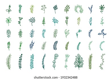 Bullet journal hand drawn vector elements for notebook, diary, and planner. Set of doodles flowers, branches, leaves, herbs, plants. 