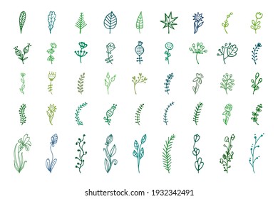 Bullet journal hand drawn vector elements for notebook, diary, and planner. Set of doodles flowers, branches, leaves, herbs, plants. 