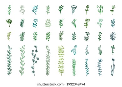 Bullet journal hand drawn vector elements for notebook, diary, and planner. Set of doodles flowers, branches, leaves, herbs, plants. 