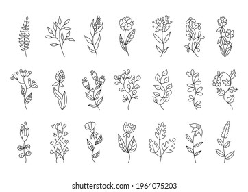 Bullet journal hand drawn vector elements for notebook, diary, and planner. Set of doodles flowers, branches, leaves, herbs, plants. 