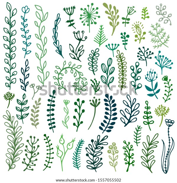 Bullet journal\
hand drawn vector elements for notebook, diary and planner. Set of\
doodles branches, herbs, plants.\
