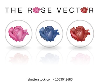 The Bullet Rose Vector 