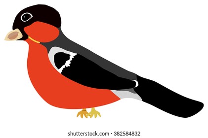 Bullfinch.