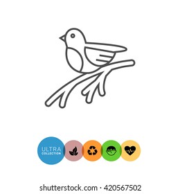 Bullfinch