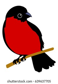 bullfinch