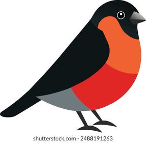 The bullfinch is admired for its vivid plumage and has a calm, reserved nature compared to other finches.